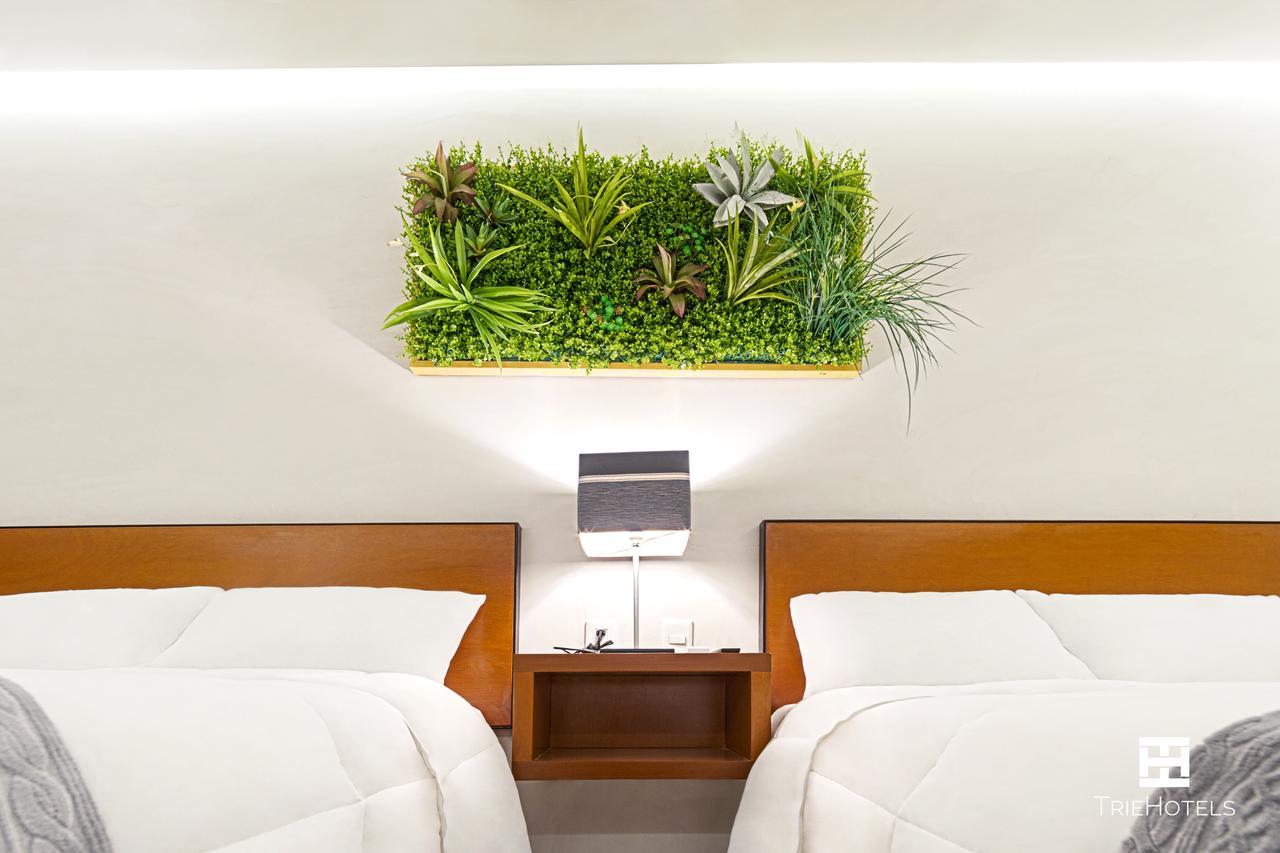 Hotel Urban 101 Chetumal Exterior photo